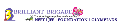 Brilliant Brigade
